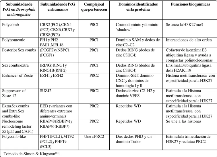 Tabla I. Funciones de las proteínas Polycomb en Tabla I. Funciones de las proteínas Polycomb en Tabla I