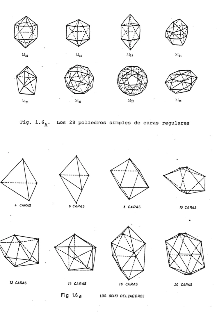 Fig. 1-6^. Los 28 poliedros simples de caras regulares 
