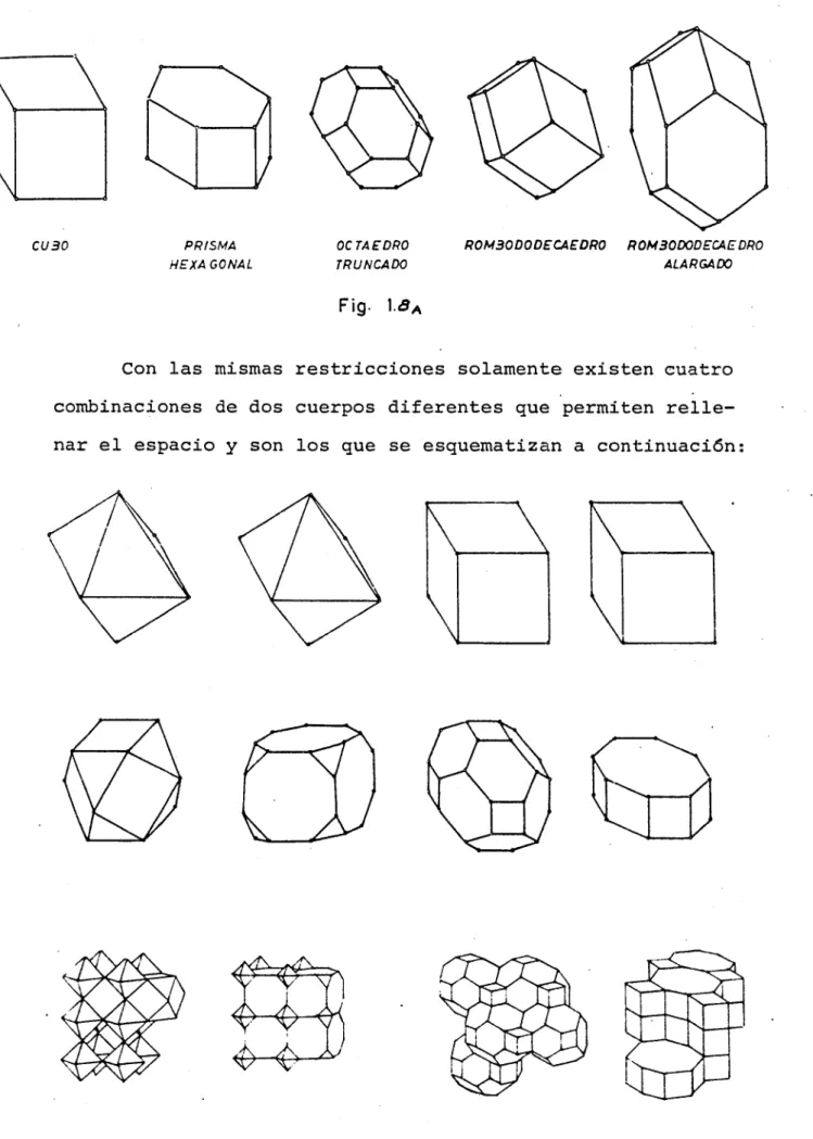 Fig.  1.<5A 