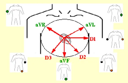 Fig. 8.  Derivaciones frontales. 