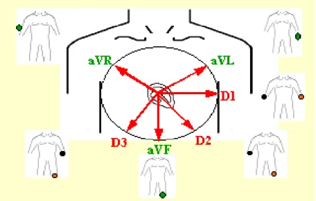Fig. 4.14.  Derivaciones frontales 