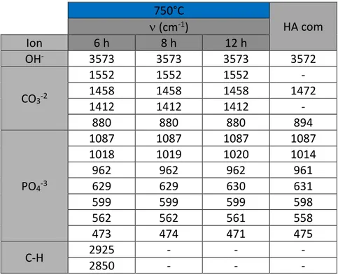 Tabla 10. Picos del espectro FT-IR de las muestras calcinadas a 750°C.     750°C  HA com     (cm -1 ) Ion  6 h   8 h   12 h  OH -    3573  3573  3573  3572  CO 3 -2 1552  1552  1552  - 1458 1458 1458  1472  1412  1412  1412  -  880  880  880  894  PO 4 -