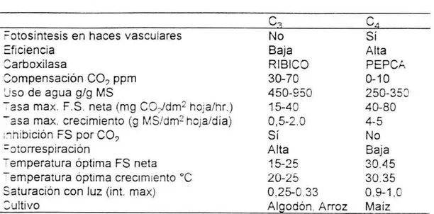 Cuadro 1.	Algunas características que diferencian a las plantas C 3 de las plantas 