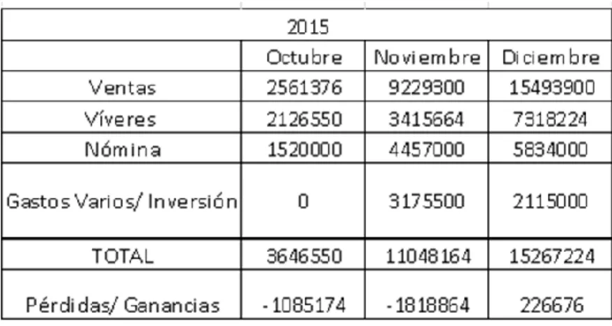 Tabla 19: Datos contables 2015 