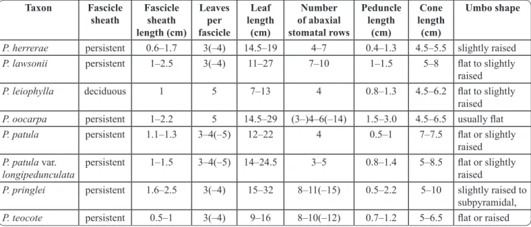 Table I. Morphological characters of  Pinus  subsection  Australes  species in Guerrero and Oaxaca.