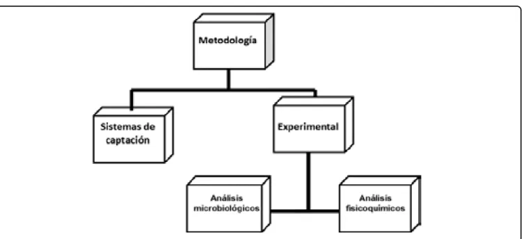Figura 1. Diagrama de flujo de la metodología.Figura 1. Diagrama de flujo de la metodología.Figura 1