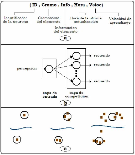 Figura 5.4. a) Estructura de una neurona. b) Separación en clusters 