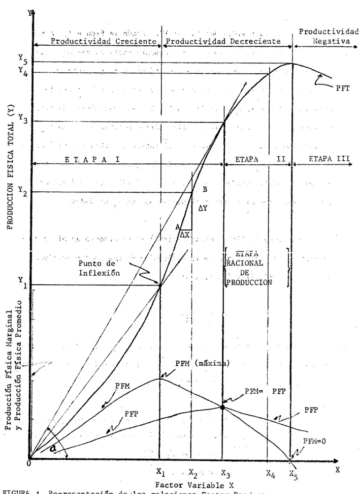 FIGURA 1. Representación de-las relaciones Factor-Producto.