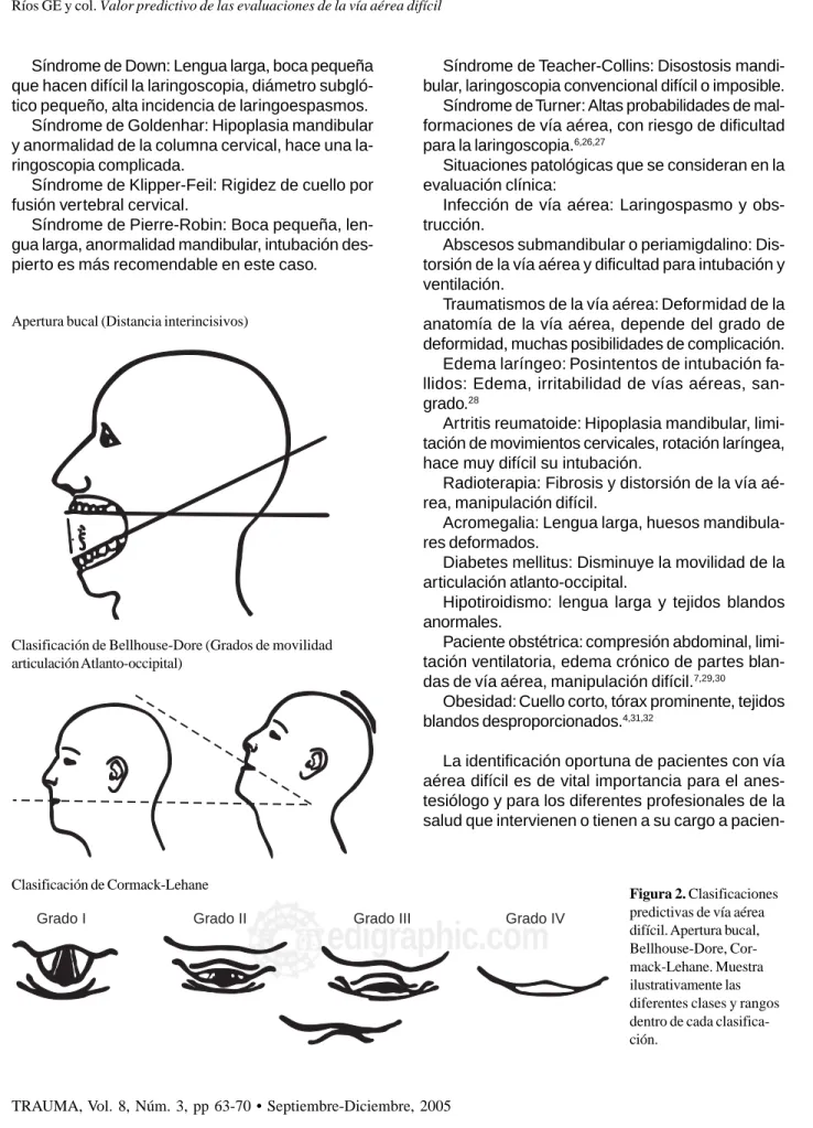 Figura 2. Clasificaciones