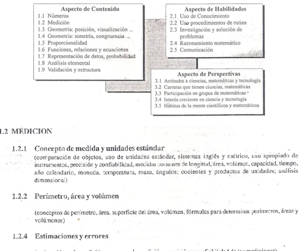 Fig. 9. Marco de referencia curricular de matemáticas.  