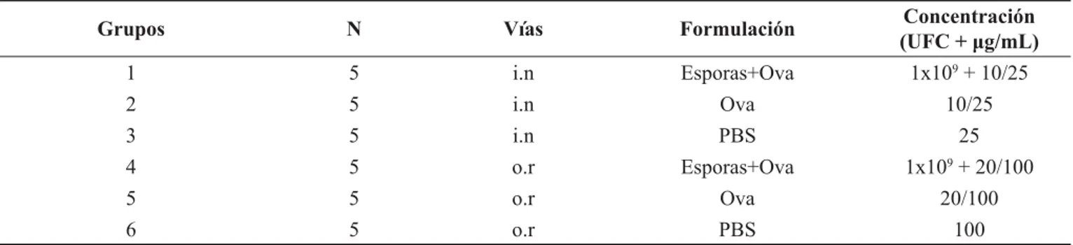 Tabla 1. Exploración de la capacidad adyuvante de esporas de Bacillus subtilis frente a Ovalbúmina (Ova) vía  intranasal (i.n) y oral (o.r)