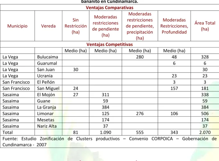 Tabla 5. Área por municipios y veredas con ventajas comparativas y Competitivas para el cultivo de  bananito en Cundinamarca.  Ventajas Comparativas  Municipio  Vereda  Sin  Restricción (ha)  Moderadas  restricciones  de pendiente  (ha)  Moderadas  restric