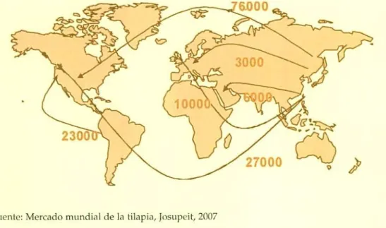 Ilustración 1. Estimación de exportaciones de tilapia (en toneladas) 2005
