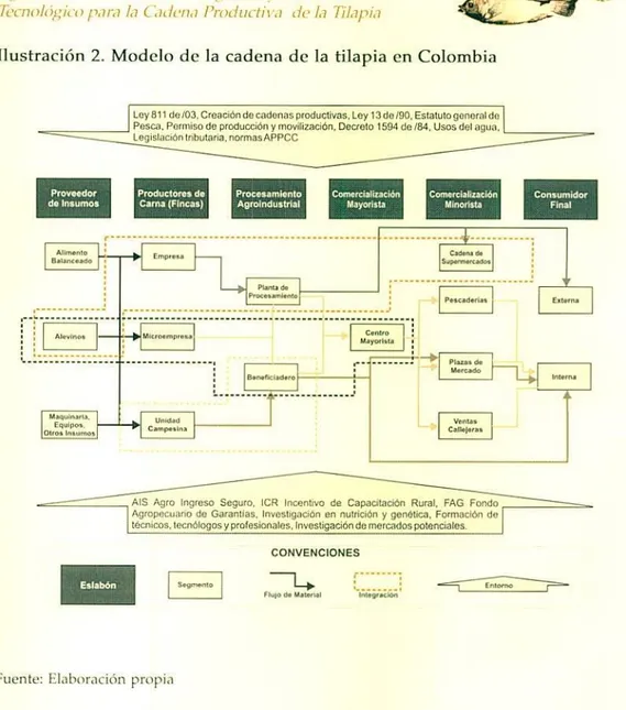 Ilustración 2. Modelo de la cadena de la tilapia en Colombia