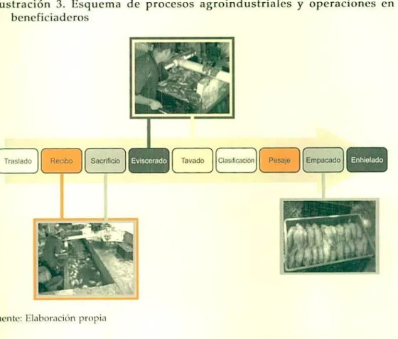 Ilustración 3. Esquema de procesos agroindustriales y operaciones en beneficiaderos