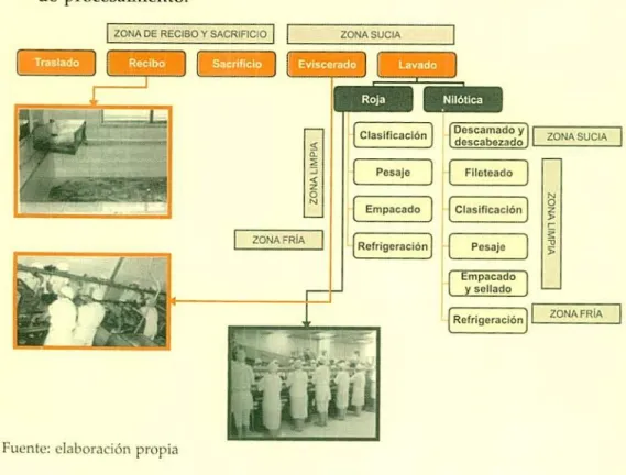 Ilustración 4. Esquema de procesos agro¡ ndustriales y operaciones en plantas de procesamiento.