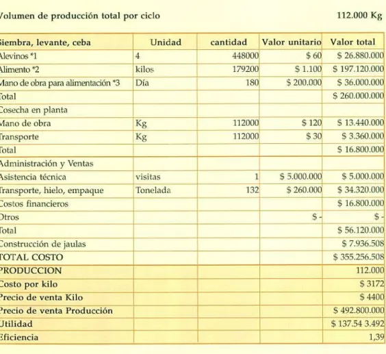 Tabla 6. Costos de Producción Sistema de Jaulas Empresa