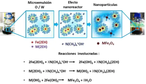 Figura 4.2: Esquema general del método reacción en microemulsión aceite-en-agua (O/W) para la síntesis de nanomateriales simples MFO (MFe 2 O 4 , M: Co, Ni y Zn).