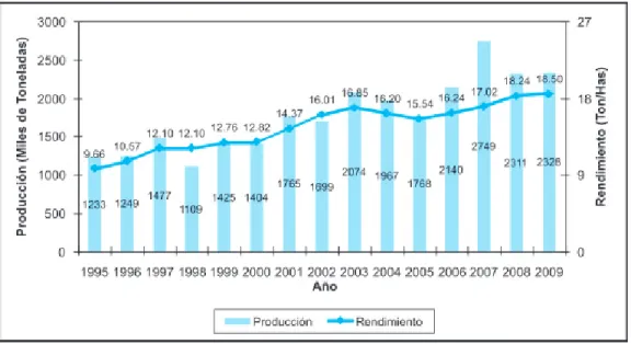 Figura 7. Producción y rendimiento del cultivo de papa en Colombia 1995 – 2009.