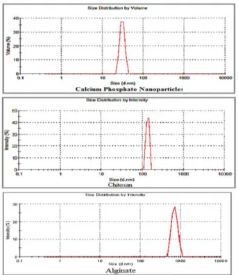 Fig. 3. Particlesize of Calcium phosphate 30 nm and Chitosan  132 nm were in Nano-size, while Alginate was in Micro-size  of  705 nm.