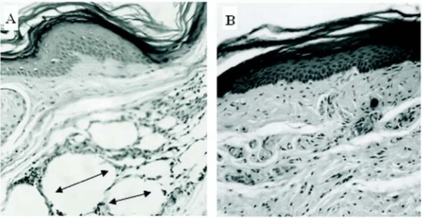 Figure 4.Figure 4.Figure 4.