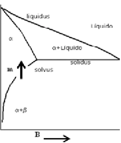Figura 15. Diagrama de fases que muestra solubilidad en estado sólido 
