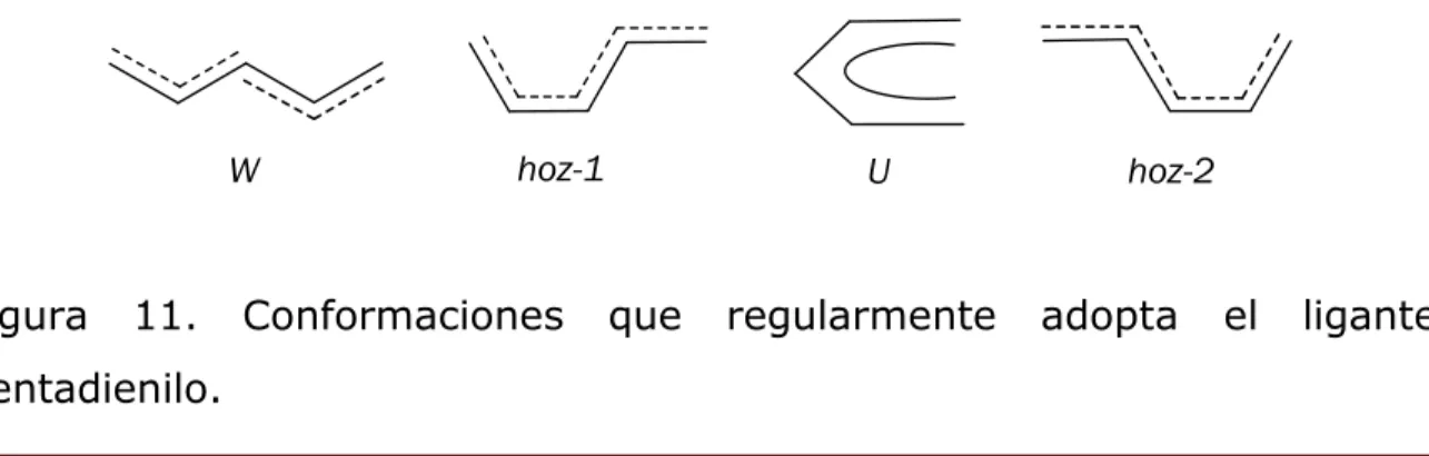 Figura  11.  Conformaciones  que  regularmente  adopta  el  ligante  pentadienilo.