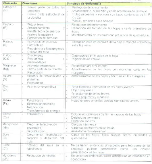 Cuadro 8. Funciones  de los nutrientes  y síntomas  de deficiencja.