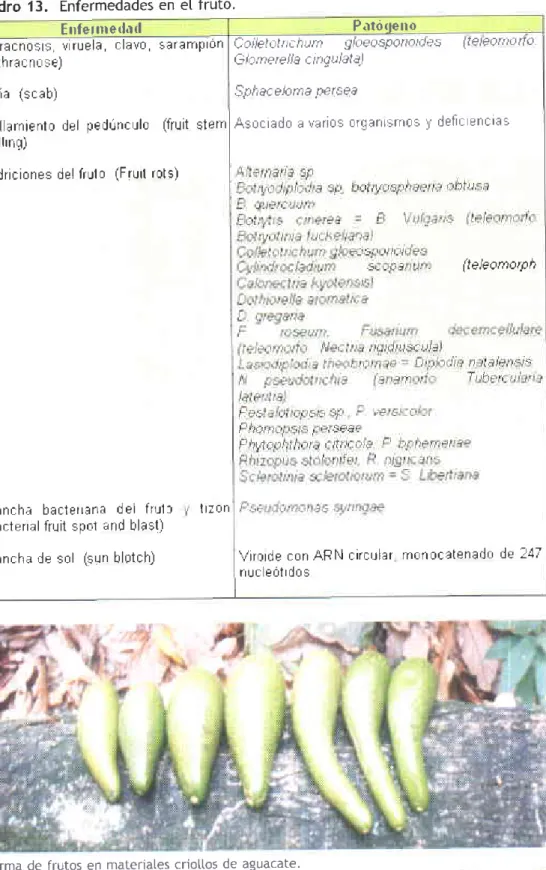 Cuadro  13,  Enfermedades  en e[ fruto