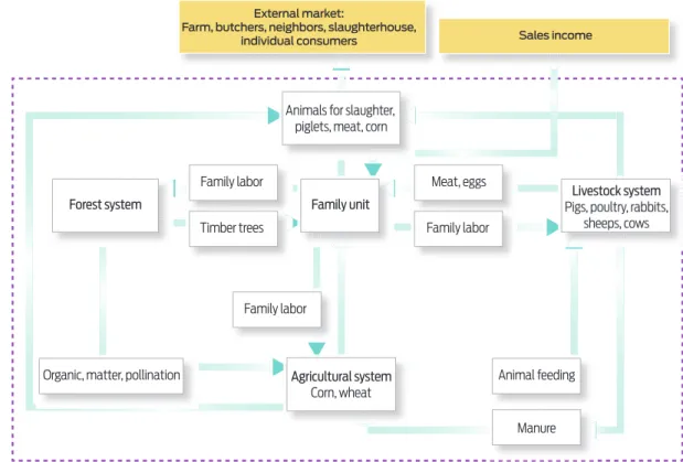 Figure 2.  Scheme of the rustic production system, which shows the three systems that comprise it (livestock, agriculture 