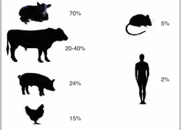 Figura 1. Porcentajes de linfocitos JG7 descritos en bovinos: (7, 8,  9), cerdos (6), gallinas (5), humanos (3) y ratones (4).