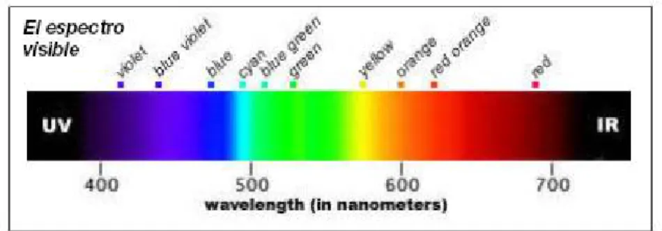 Figura 1.8: Longitudes de onda en nan ´ometros que comprende el espectro visible