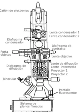 Figura 1.11: Esquema que muestra el funcionamiento de un Microscopio de Transmisi ´on con an ´alisis Elemental EDS