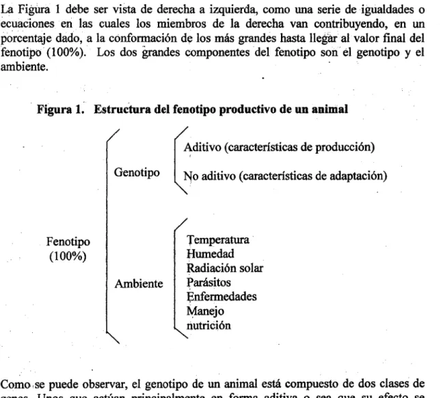 Figura 1. Estructura del fenotipo productivo de un animal