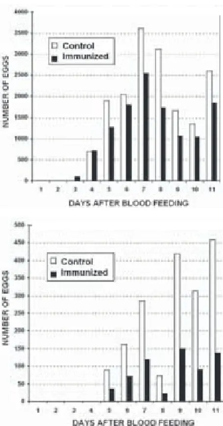 Figura 1:  Número de huevos depositados por moscas del establo (200 moscas/grupo) alimentadas  diariamente con sangre de Bos taurus inmunizado (inmunizado) o no (testigo) con antígenos de  intestino de Stomoxys calcitrans (día 40 posinmunización).