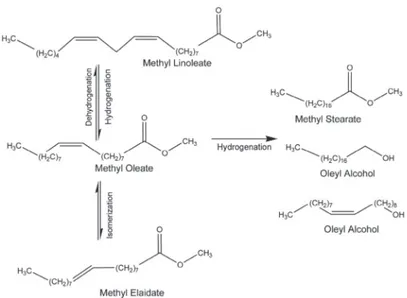 Figure 1: Possible products obtained from the hydrogenation of methyl oleate.