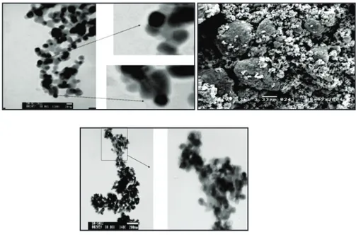 Figure 4. Micrographs of (a) Sn3%/SnO 2 , (b) Ni3%/SnO 2  y (c) Sn2%Ni0, 5%/SnO 2 .