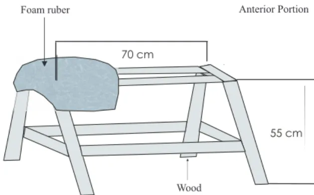 Figura 1. Diseño del “maniquí” utilizado para la 