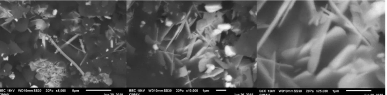 Figure 5. Scanning electron microscopy of the samples obtained from Bi 2 O 3 . 