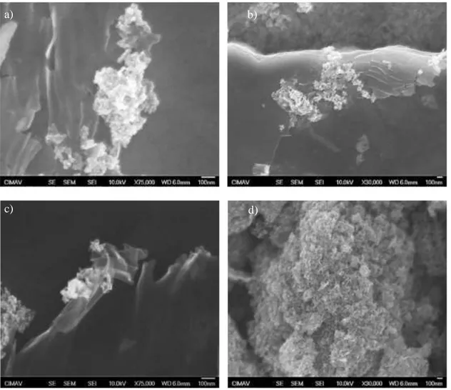 Fig. 2 SEM micrographs of the GO/ZnO composite. 
