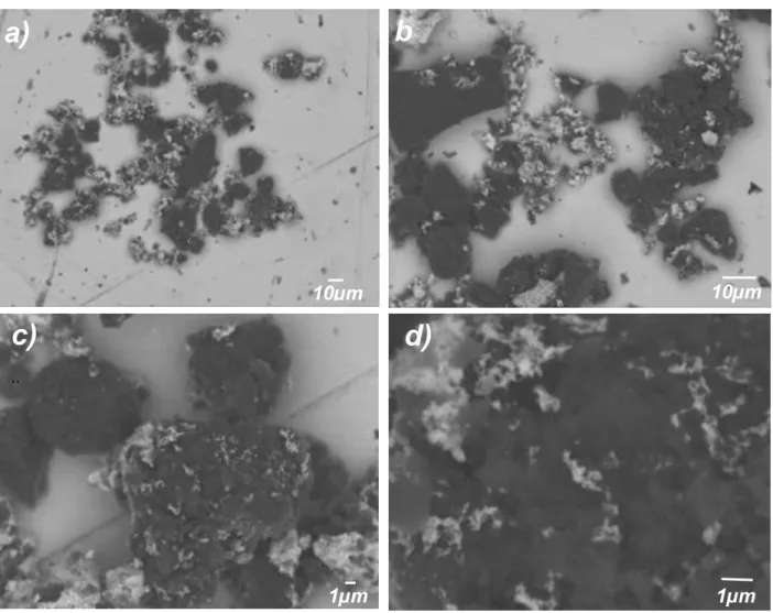Figure  3  presents  scanning  electron  microscope  (SEM)  micrographs  taken  at  different  magnifications  by  secondary  electrons  of  the  S-AG  RuM  sample