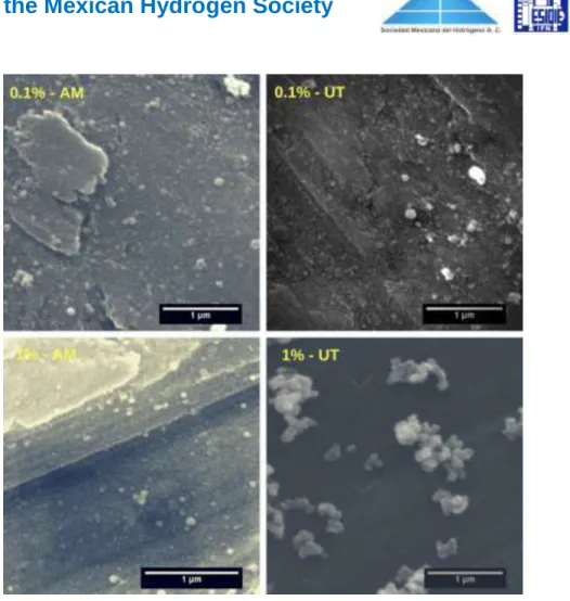 Fig 4. SEM images of the heat-treated NiWO 4  samples. 