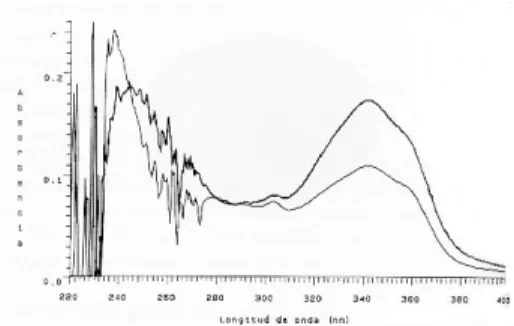 Figura 4. Cromatografía de punfcación del extracto de alfalfa.  En los carriles externos se muestra el patrón de coumestrol  y en los carriles centrales el extracto de alfalfa