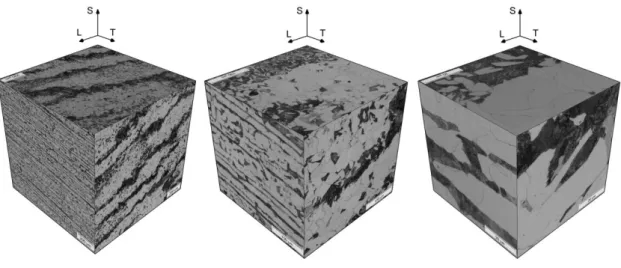Figura 5.5. Micrografías del material base a 3 aumentos: X50, X200 y X1000. Se indican los 