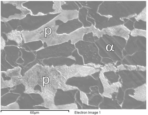 Figura 5.7. Micrografía SEM del material base en un plano perpendicular a la dirección del 