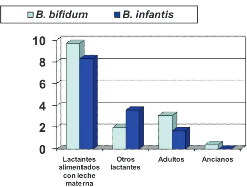 Figura 1. Bifidobacterium en heces del ser humano a través de la edad