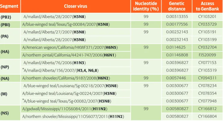 Table 1.  Increased nucleotide identity in each of the segments   of the A/Pekin duck/Mexico/CPA-5009/2007 virus genome.