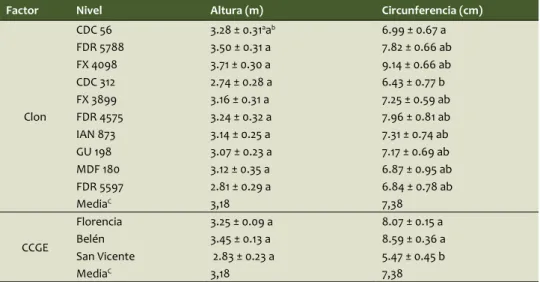 Tabla 4. Media de la altura (m) y la circunferencia (cm) de 10 clones de Hevea  brasiliensis establecidos en tres Campos Clonales a Gran Escala CCGE localizados en 