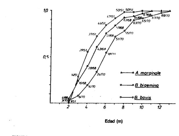 FIGURA  1	 FRECUENCIAS RELATIVAS ACUMULADAS DE SEROCONVERSIONES x/n = seroconverslones/no