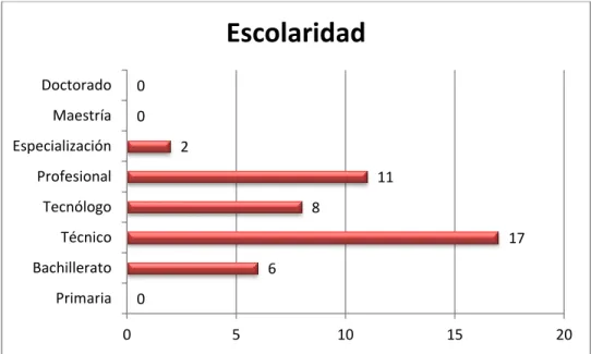 Ilustración 3. Escolaridad 